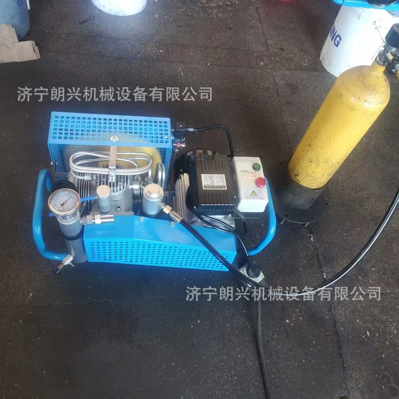 100L/320L воздушный насос 220V/380V надувной насос дыхательный компрессор воздухозаправочное оборудование
