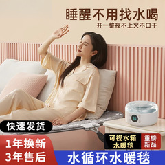 2025新款水暖毯水暖电热毯双人水循环水循环电热毯水热毯水电褥子