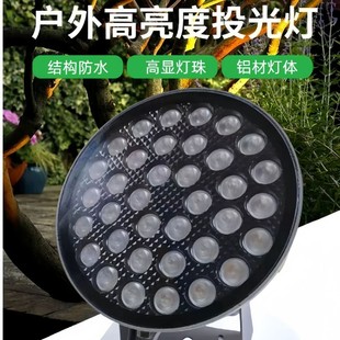New Led Structure Waterproof Floodlight, a Beam of Light, Plug-In Light, Single Color Rgb External Control Dimmable Outdoor Light