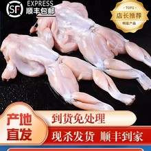 牛蛙超大特大鲜活新鲜冷冻田鸡青蛙蛤蟆杀好后蛙块商用火锅食材无
