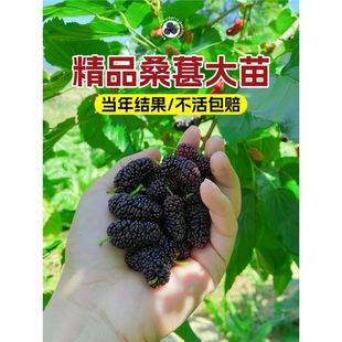 ���L��ɣ�ؘ��玧������̨����ɣ�ؼ޽ӹ�������ϱ����ļ���ˮ��