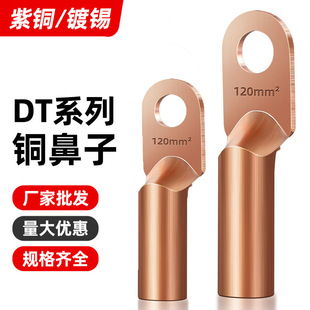 �~�����~���^ DT-10/DT-400 ��|���Ӿ����Ӿ������� ���˷ǘ�