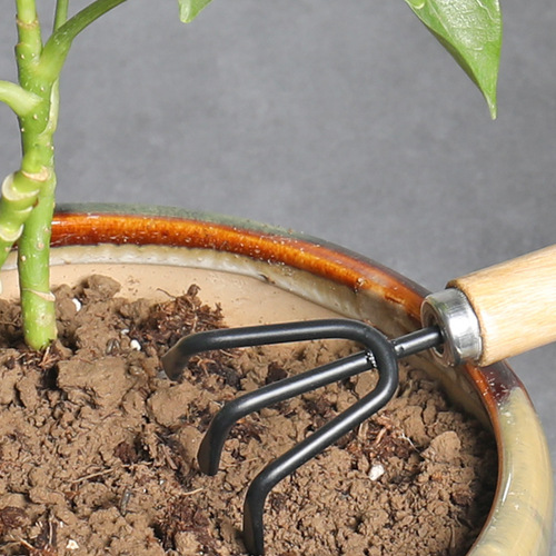 Household flower planting tool set for growing vegetables, growing flowers, succulents, shovel loose soil, potted planting shovel, gardening scissors, small shovel