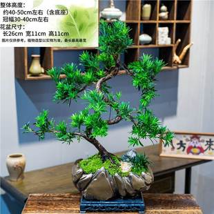 ��֦�Ϙ������_�h���辰�҃Ⱥ��B���ԾGֲ���^���ҿ͏d�̨