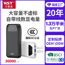 WST��늌�20000�����������2�f������3C�J�C�Ƅ��Դ�w�C�ɔy��