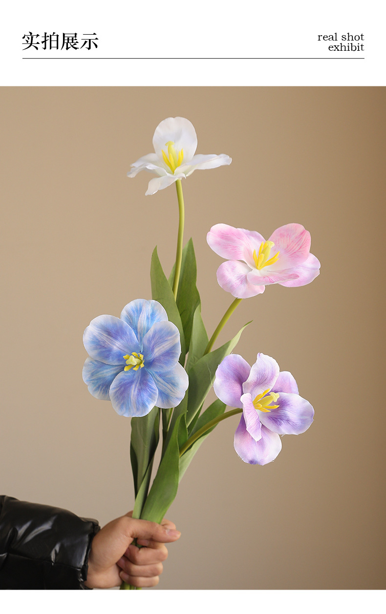慕青大花郁金香_05.jpg