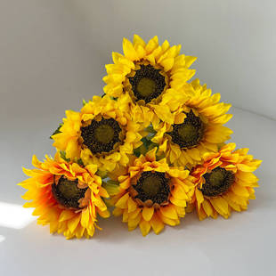 ���Q�������տ���ꖻ���Y��c�b�ˇ�������껨ˇ�ҾӔ[���ٻ�