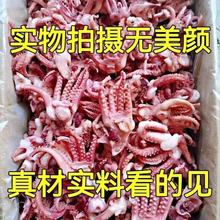 小鱿鱼须新鲜冷冻鱿鱼头小八爪须烧烤餐饮食材无冰衣批发净重