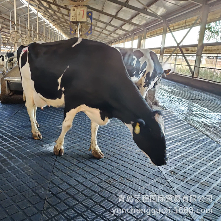 Резиновый коврик Нескользящий Резиновый кожаный ипподром для крупного рогатого скота можно мыть, резать и укладывать, простой и практичный