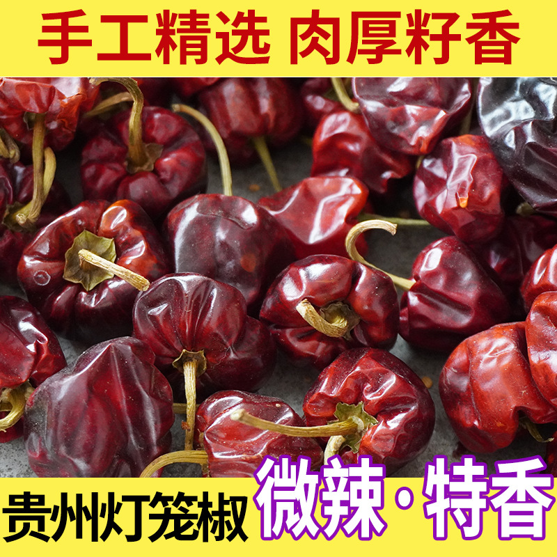 500g Guizhou Lantern Pepper Dried Chilies - Mildly Spicy, Unique Aroma, Thick Skin, Perfect for Dry Pot Cooking - Enhances Flavor and Color, Wholesale
