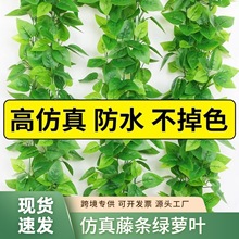 �����ٗl�G�}�~�b٘��~�������ϵ�픻���ˮ�ܵ��ړ����{�G�~��