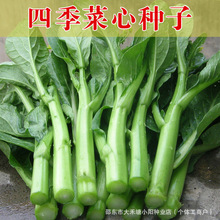 �ļ�����ķN���ļ����߲˷N��ͥԺ�̨�N�����ԲˏV�|���������