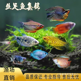 �S�������R���~�������R����Ꭷ�^�p�~�����~�z���~���鵭ˮ�~
