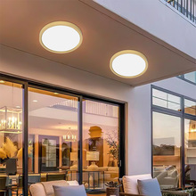 超薄吸顶灯LED 全光谱简约现代过道客厅卧室灯书房护眼圆形卧室灯