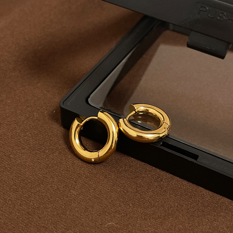 Titanium Steel Material 1 Pair Fashion Geometric Polishing Plating Titanium Steel 18K Gold Plated Earrings