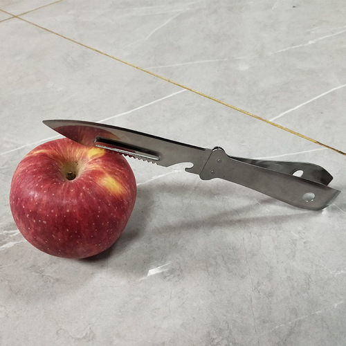Manufacturer multifunctional stainless steel goose feather clip pig hair clip scraper melon planer fruit knife peeler