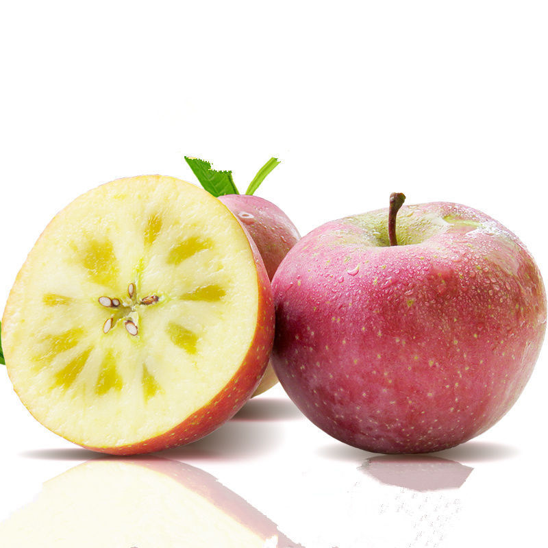 微信图片_201908270830221