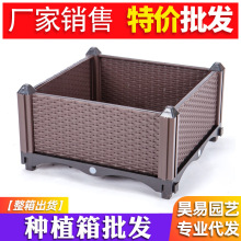 �Nֲ������̨�߲˽M�ϻ��������̖�L�������ϷN����@ˇ����