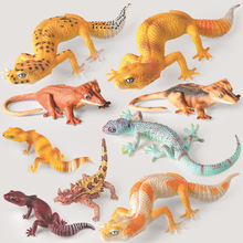 �羳�������Є���ģ�ͱڻ��޽��،m���惺ͯ�ƽ��J֪��߈����[��