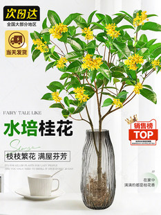 ˮ������Ԙ���ˮ�Bֲ���ļ����r�л��������҃Ȼ��ܺ��B�Gֲ