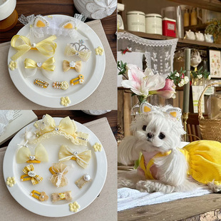 �R����˹����l�С���l�A�s���ĺ����Y�A�ӹ������Ļʹڌ���l��