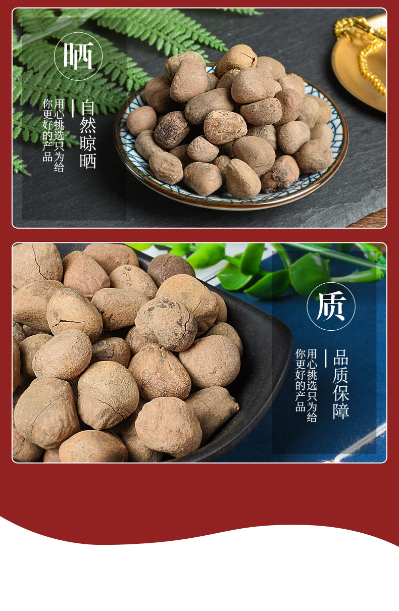 Da Feng Zi (Hydnocarpus anthelminticus) — Dried Chaulmoogra Seeds, Raw Herb Supply quality and texture