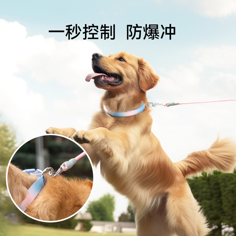 Corda de tracción para perros, collar especial para perros grandes, corda para perros, collar para perros, cadena para perros, artículos para salir