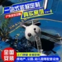 儿童防滑设施游乐滑梯