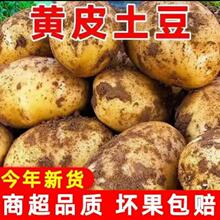 �������r��Ŵ�S�������R��������߲ˬF�����l��Ŵ��ā�r�aƷ�߲�