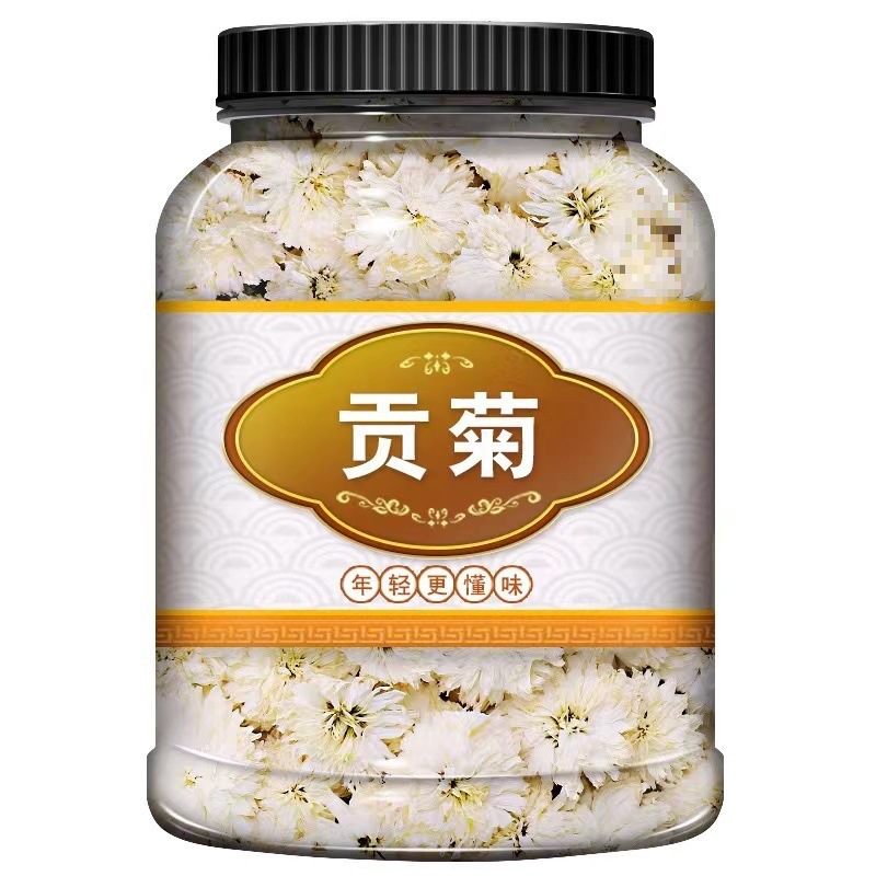 황산 백국 국화차 우려 마시는 국화 꽃차