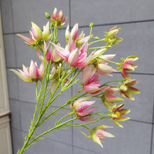 ���l�ߙn��֦ѩ�ɻ���c�Ҿ��bٻ��廨�����[�����滨���ﻨ