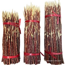 t֦½tᘼt󴮼tľ⺞⴮