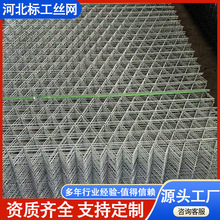 鐵絲網片鋼筋網異形碰焊網網面網格電焊網防護網鍍鋅篩網