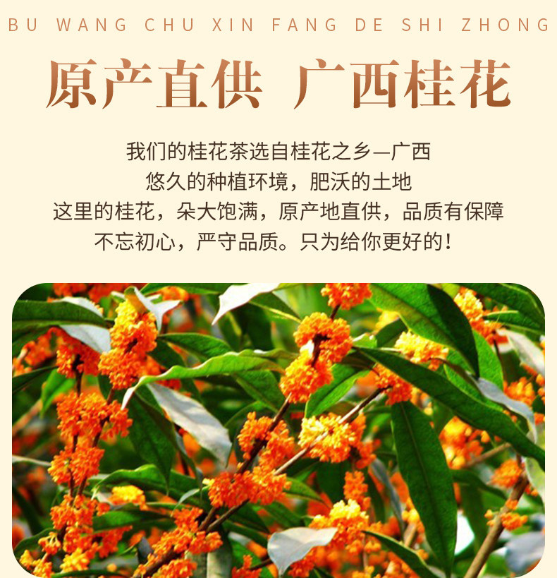 Premium Dried Osmanthus Flowers Gui Hua 500g Fragrant Herbal Tea for Brewing Baking and Culinary Use overview