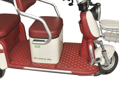 Wanshida foot mats — Electric vehicle foot mat