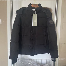 Q_Zq޷29ôWyndhawɿ˷ëI