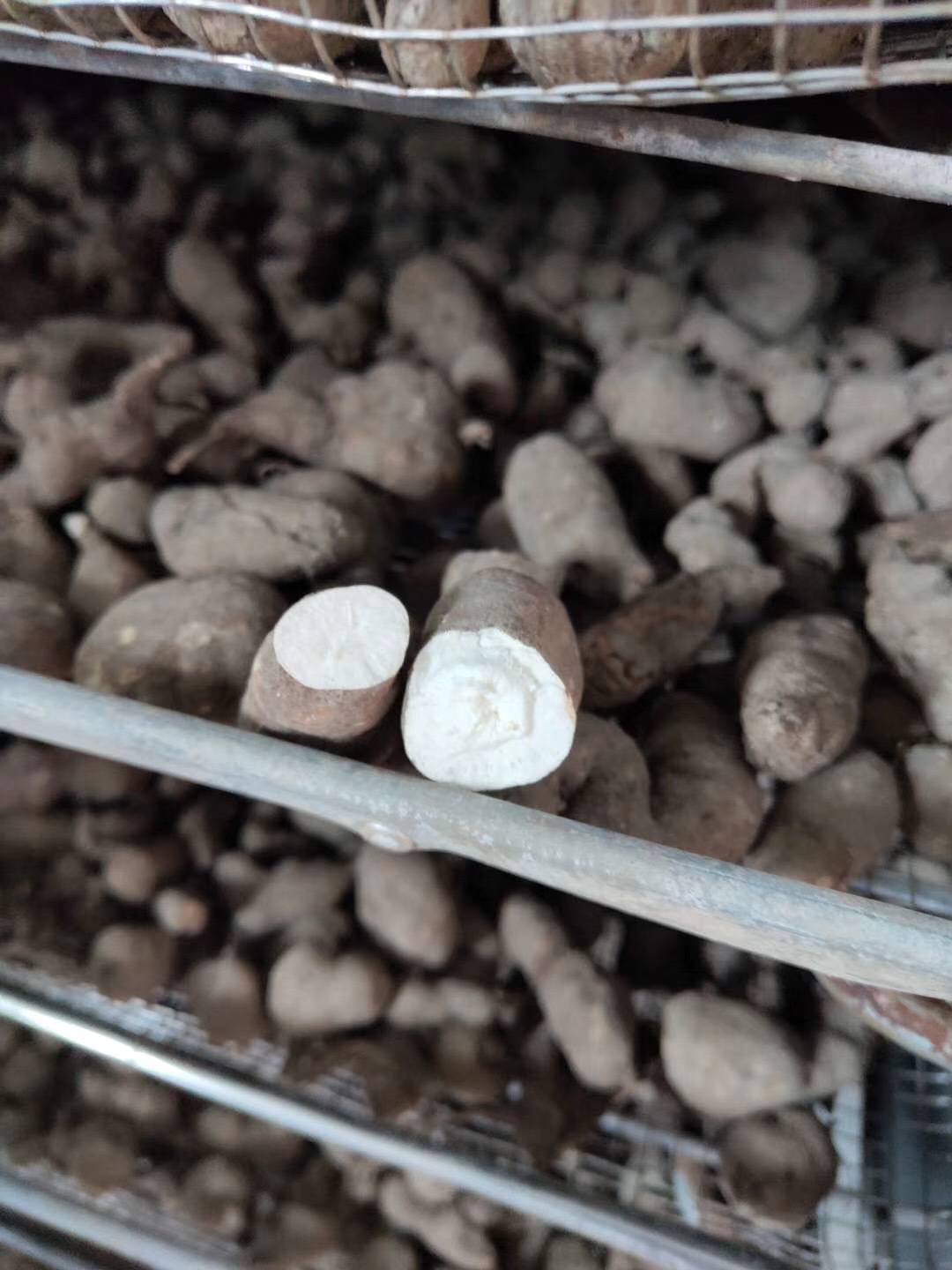 San Ye Qing Three Leaf Root Dried Herb 500g TCM Botanical for Decoction and Culinary Use key features