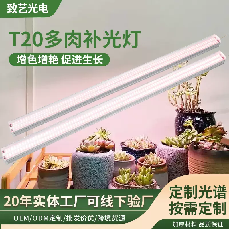 多肉补光灯T20大功率快速上色防徒长LED种植仿太阳专用植物生长灯