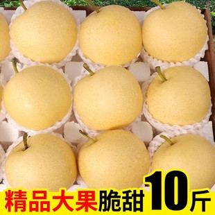 �ӱ��ʹ���10���������r����ˮ���ִ���Xɽ�����S��������5���]