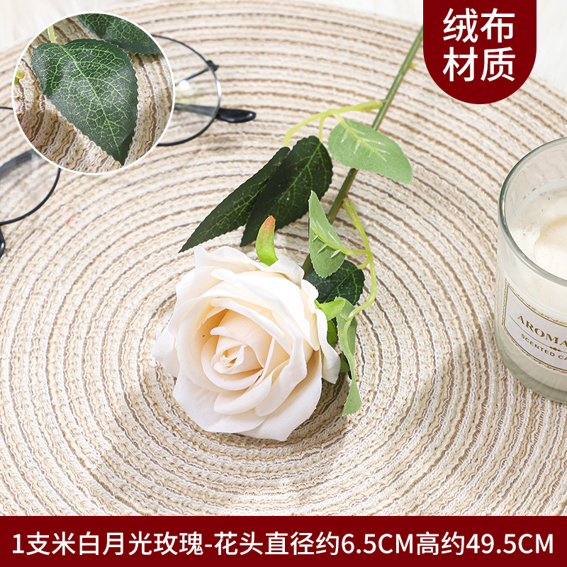 문라이트 로즈 1개 - 샴페인 컬러