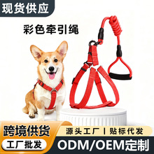 跨境可调节狗狗牵引绳七彩多色尼龙p绳遛狗绳防爆冲狗绳宠物用品