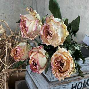 ins��ϸɿ�õ��ɻ������͹��滨���յ��������k���ҼҾ��b�