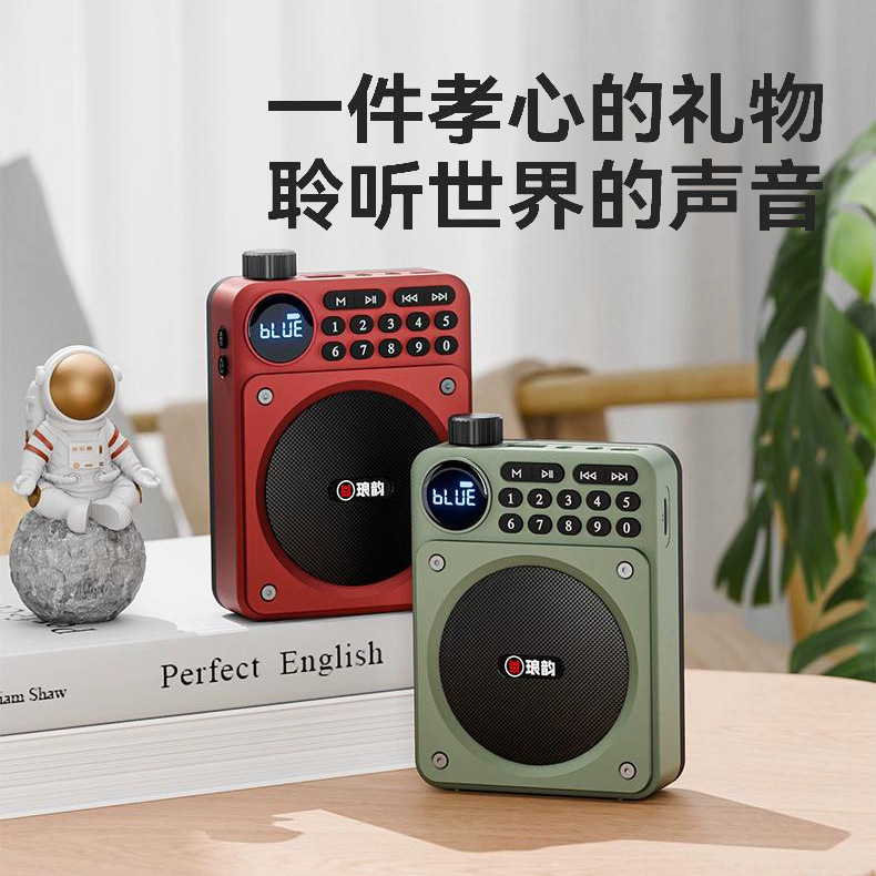 Rhyme C65 Loudspeaker Bluetooth Radio Recorder Card U Disk Player Digital Singer High Volume
