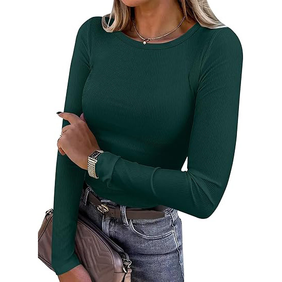 Women's Long Sleeve Top Autumn Winter Outerwear Inner T-Shirt Milk Silk Polyester Base Layer Shirt_ecoleips.com