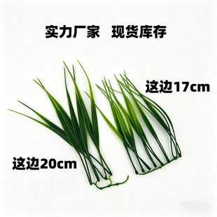 �ɲ����ϴ���ֲ���ֹ�DIY�Gֲ�����Ʒ����廨�@ˇ�b� ˮ�����