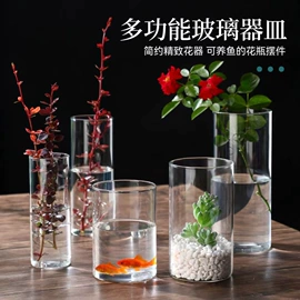玻璃杯;密封盒储物罐;茶杯