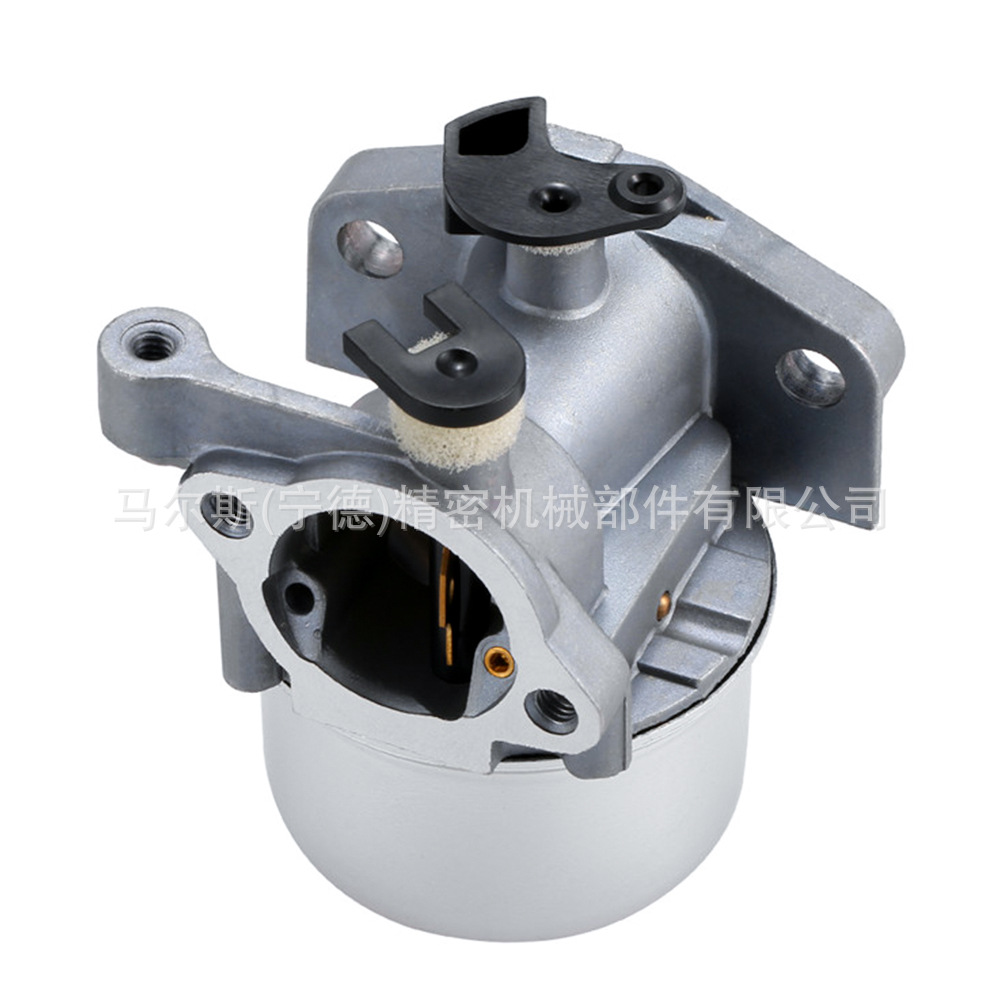 799871 Carburetor for Bs 790845 126m02 799866 796707 Carburetor