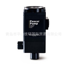 ձPASCAL˹ӱ^dX6312P-ANC-A