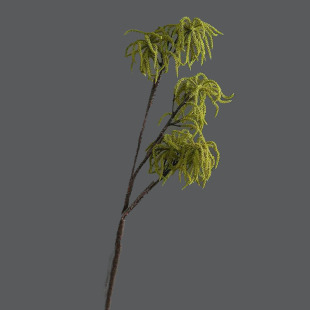 ���ٻ����滨���ٹ� �Ҿ��b�c�zӰ����ܛ�b��ˇëëܛ�z����