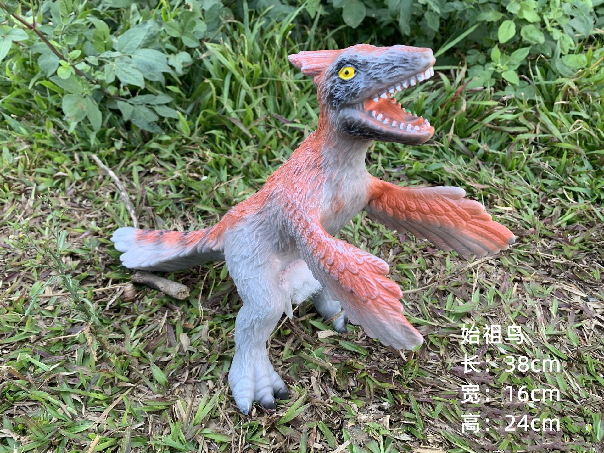 The first bird red in the new style